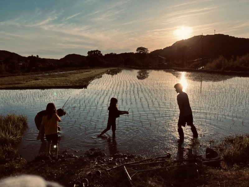 閲覧数、6５0万人突破。